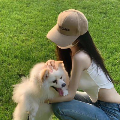 与鲨同游